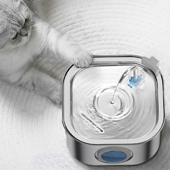 fontaine a eau pour chat acier inoxydable et led
