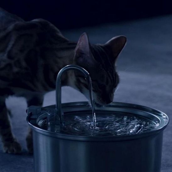 fontaine chat ultra-silencieuse boire la nuit