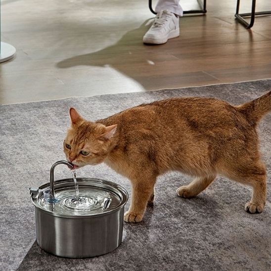 fontaine chat ultra-silencieuse acier inoxydable capteur mouvement