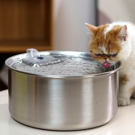 fontaine chat ultra-silencieuse acier grande surface