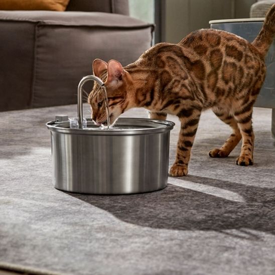 fontaine chat ultra-silencieuse acier inoxydable