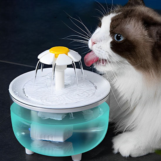 fontaine eau chat forme fleur plastique blanc antidérapante