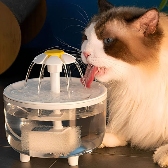 fontaine eau chat forme fleur plastique blanc transparent