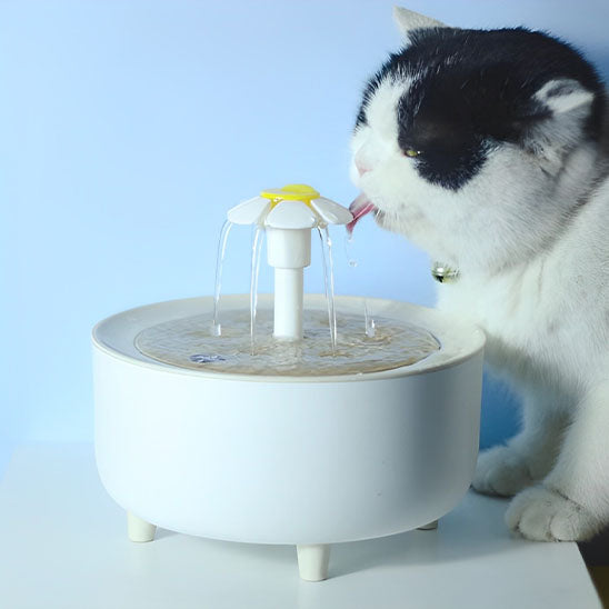 fontaine eau chat forme fleur effet bois plastique