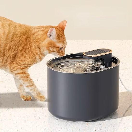 fontaine eau pour chat élégante bleu foncé