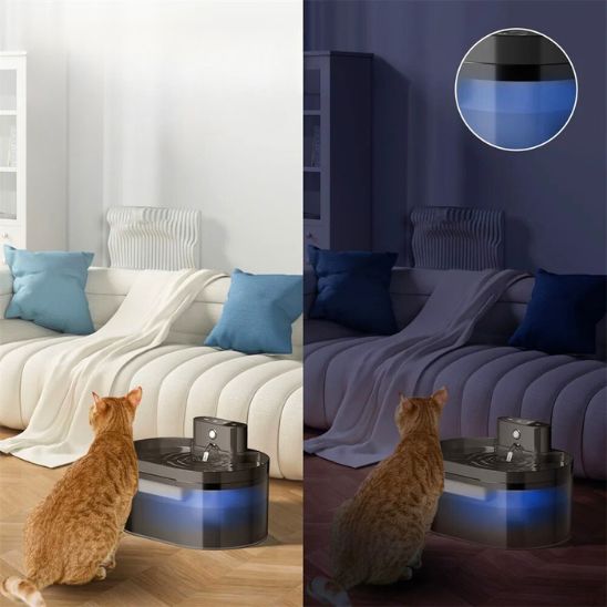 chat jour nuit accĂšs fontaine pour chat sans fil