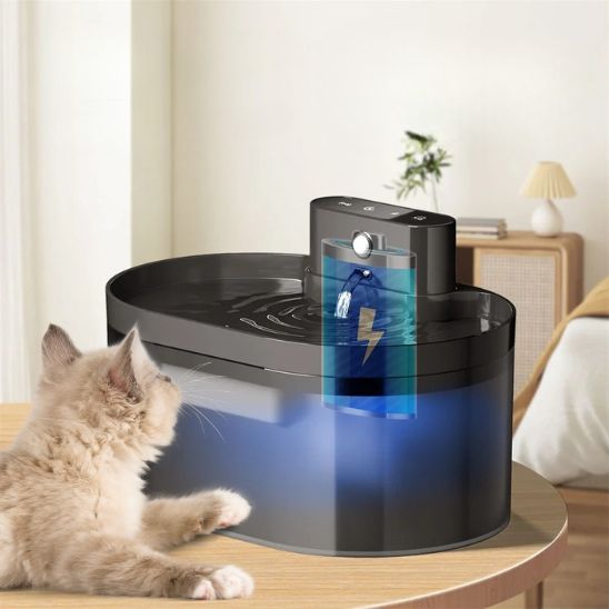 fontaine pour chat sans fil silencieuse capteur