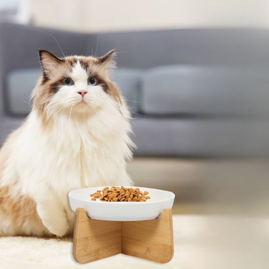 gamelle anti glouton chat céramique blanche bois antidérapant