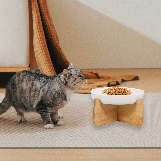 gamelle anti glouton chat céramique bois surélevée adaptable entretien
