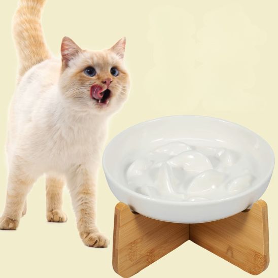 gamelle anti glouton chat céramique bois fond design poisson