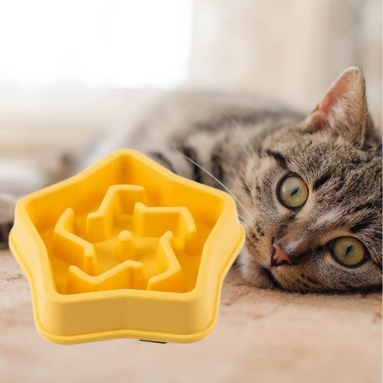 gamelle anti glouton chat alimentation lente plastique jaune