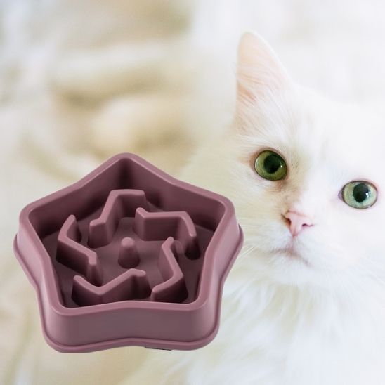 gamelle anti glouton chat alimentation lente plastique violet