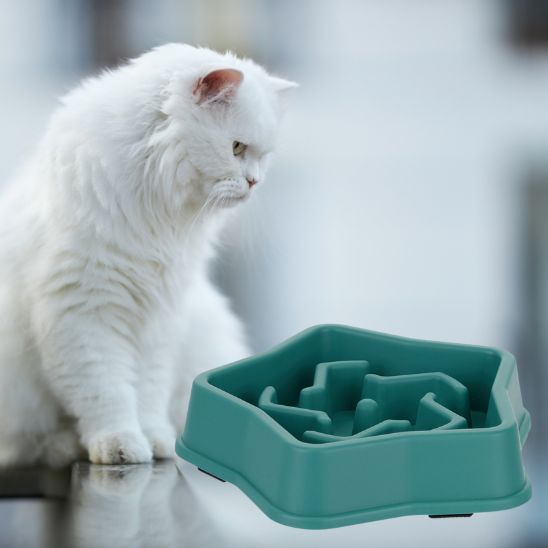 gamelle anti glouton chat antidérapant