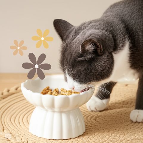 gamelle anti-glouton chat céramique blanche surélevée design fleur