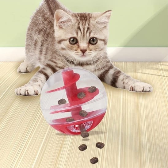 gamelle anti glouton chat boule jouet interactive chaton