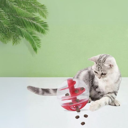 gamelle anti glouton chat jouet distributeur gĂąteries boule plastique