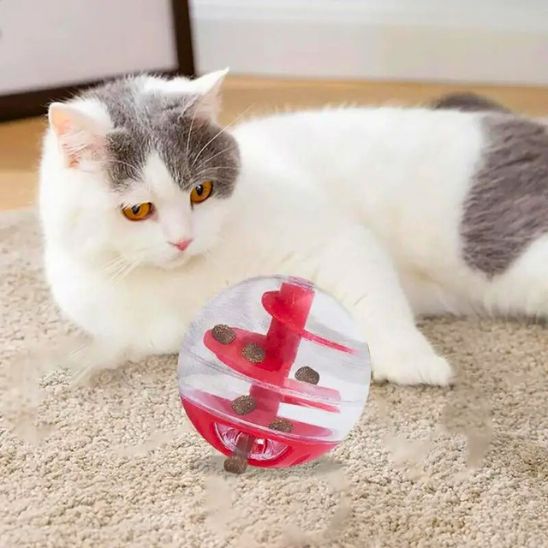 Gamelles anti glouton chat jouet distributeur gĂąteries boule plastique
