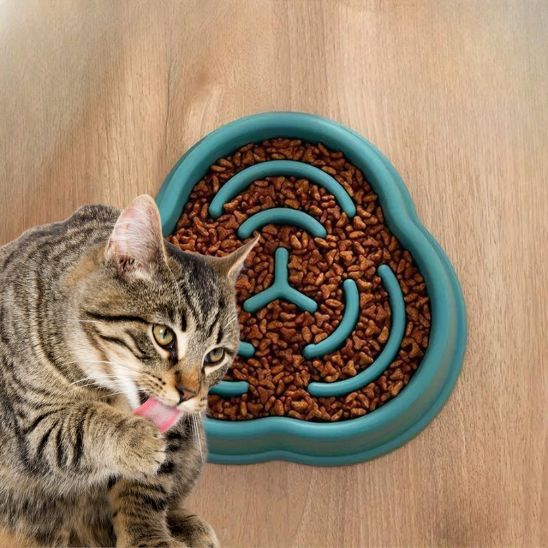 gamelle anti glouton chat plastique vert