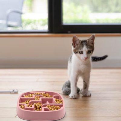 gamelle anti-glouton chat labyrinthe zen plastique rose chaton