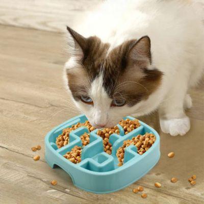 gamelle anti-glouton chat labyrinthe zen plastique turquoise