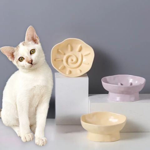 gamelle anti-glouton chat céramique surélevée inclinée