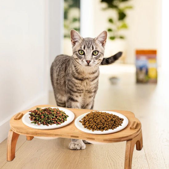 gamelle chat bambou surélevée bols céramiques doubles
