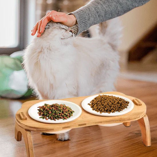 gamelle chat bambou céramique double confort pour manger