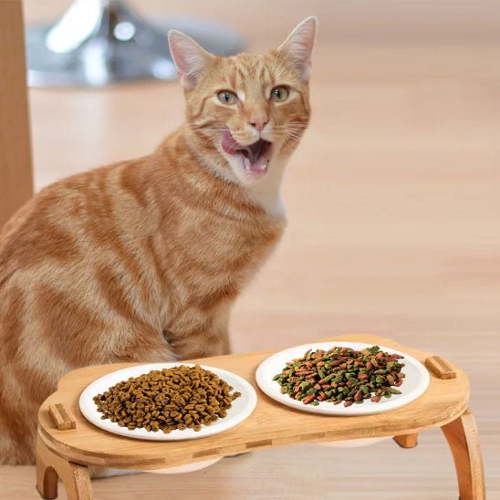 gamelle chat bambou céramique double résistante