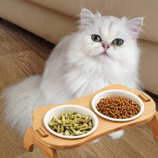 gamelle chat bambou surélevée céramique blanche double