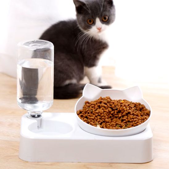 gamelle chat surélevée plastique bol et distributeur eau