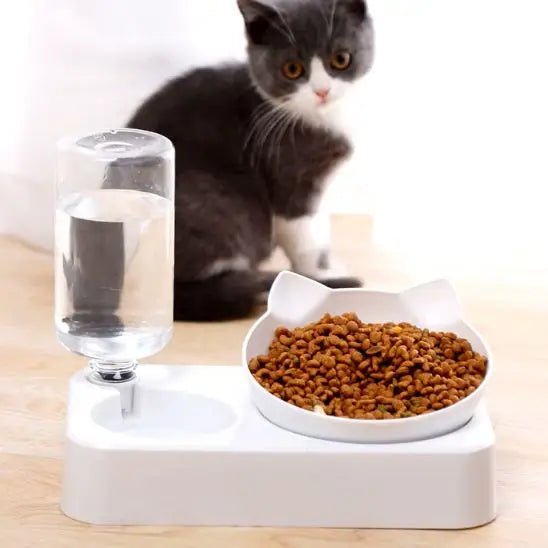 gamelle chat surélevée plastique bol et distributeur eau
