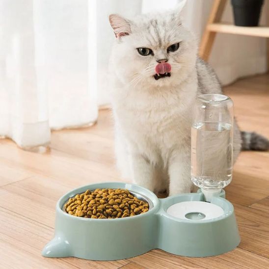 gamelle chat eau et nourriture plastique inox confort