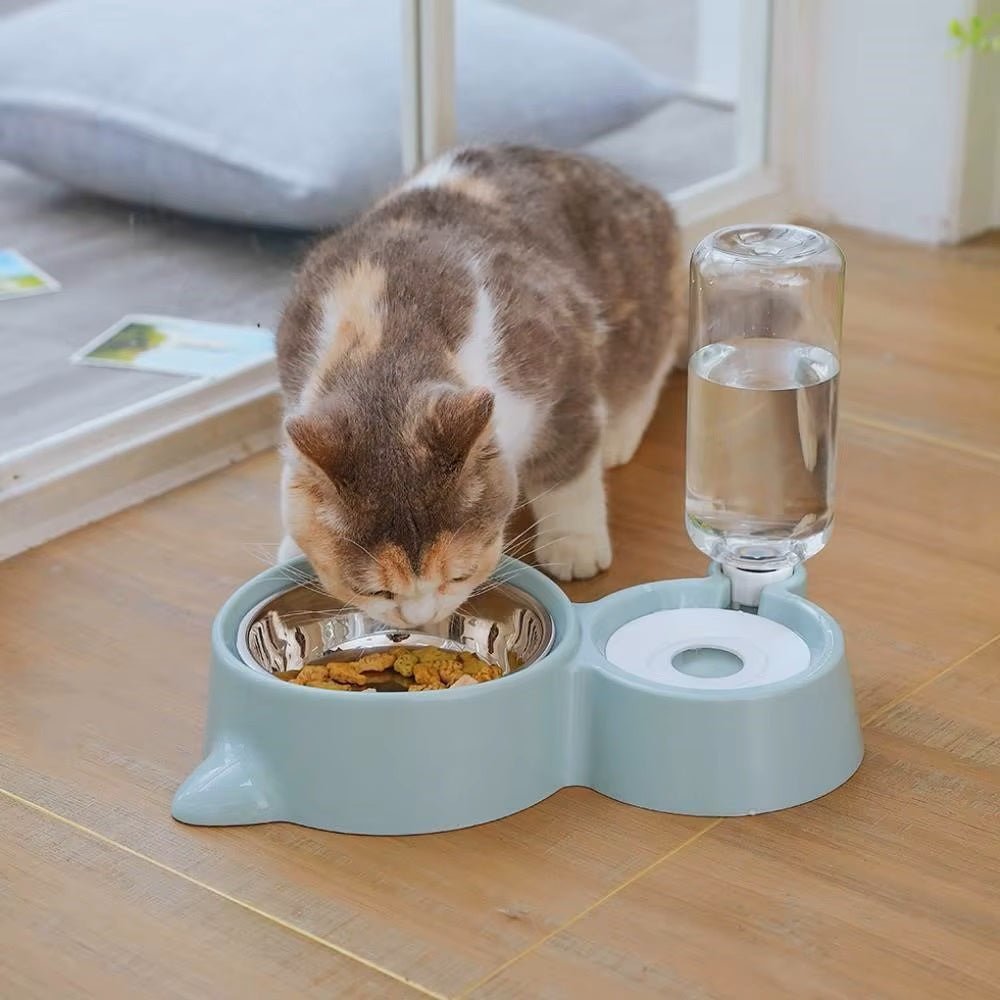gamelle chat plastique inox eau et nourriture compacte