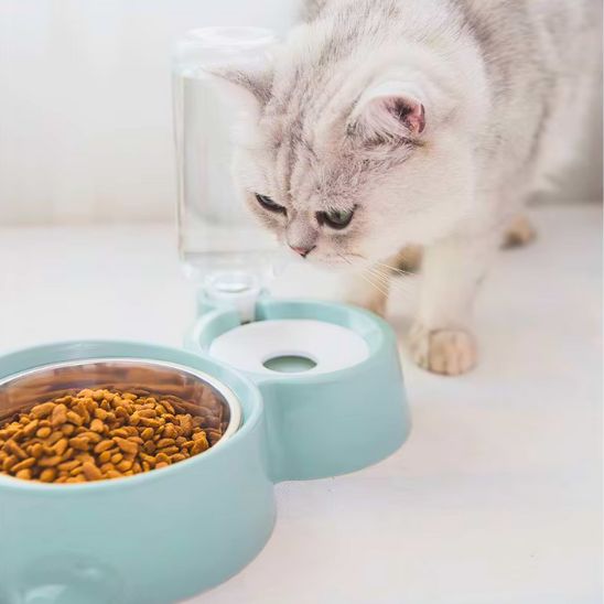gamelle chat eau et nourriture plastique inox compacte