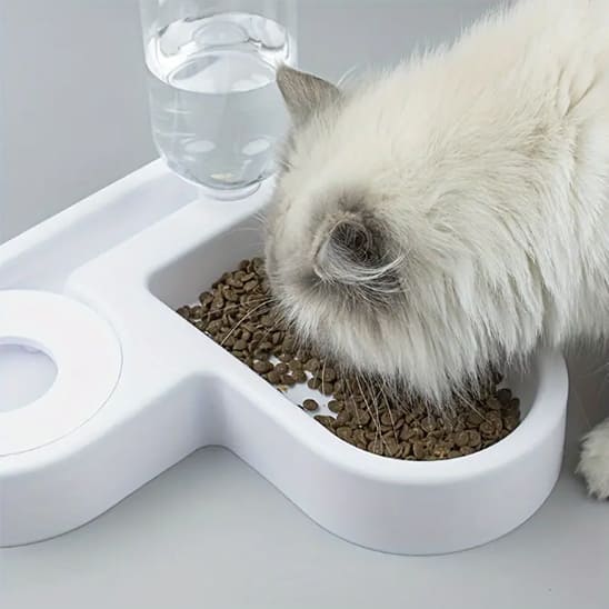 gamelle chat multifonctionnelle eau nourriture