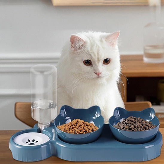 chat gamelle surélevée station alimentation eau croquettes plastique bleu
