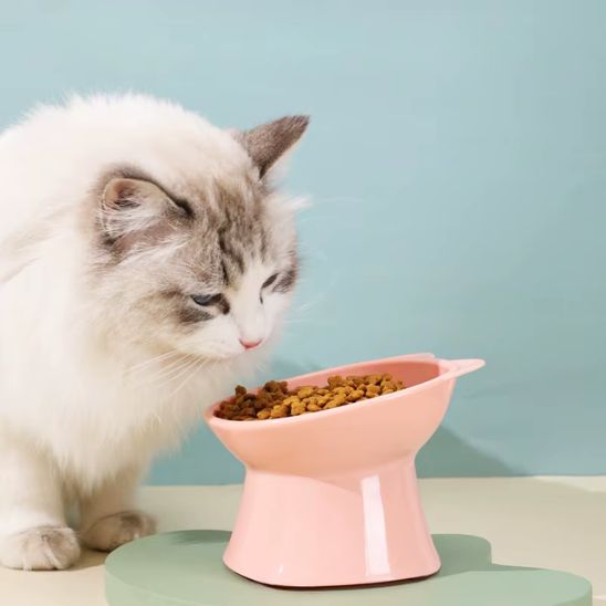 gamelle chat surélevée rose plastique