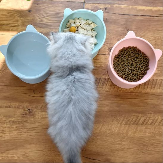 gamelle chat surélevée tous types nourriture