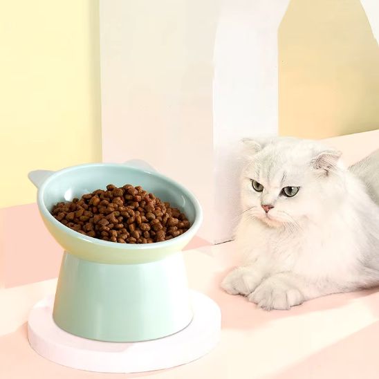gamelle chat surélevée vert anti-étouffement