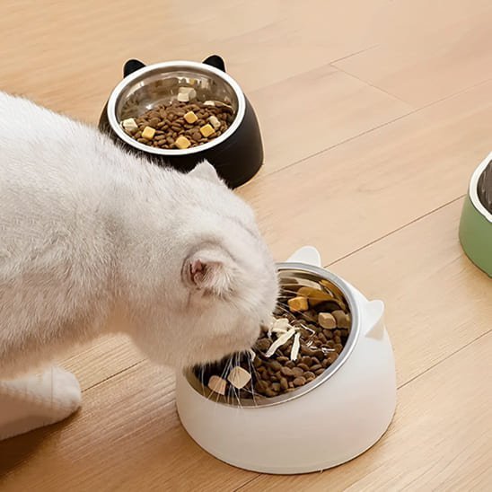 gamelle chat surélevée inclinée inox et base plastique blanche