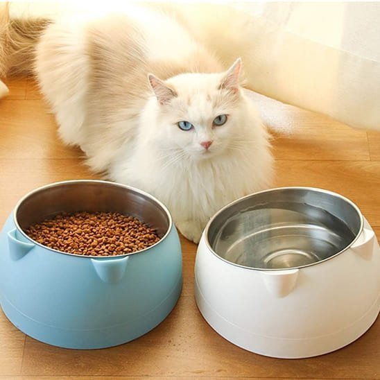 gamelle chat surélevée inclinée inox support plastique blanc ou bleu