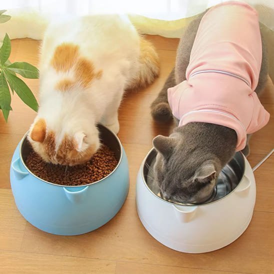gamelle chat surélevée inclinée inox pour croquettes ou eau