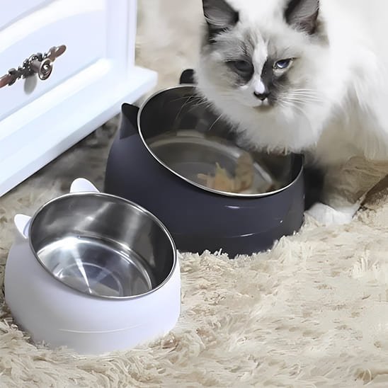 gamelle chat surélevée inclinée inox support plastique blanc ou noir