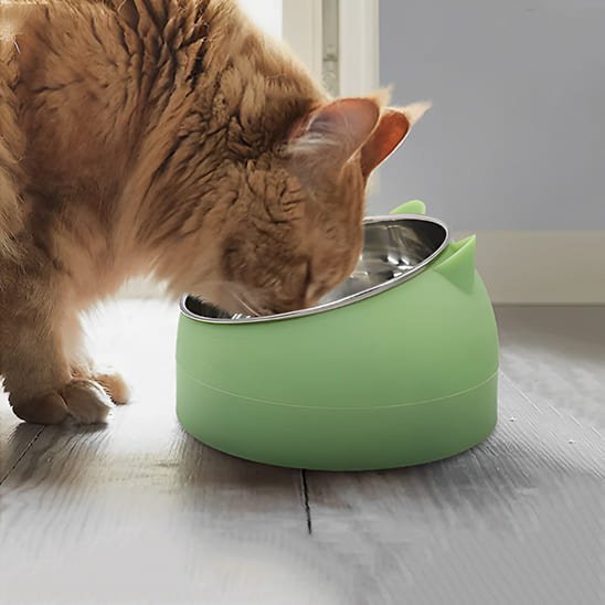gamelle chat surélevée inclinée vert eau