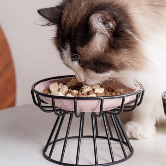 gamelle chat surélevée ergonomique métal noir et bol céramique blanc