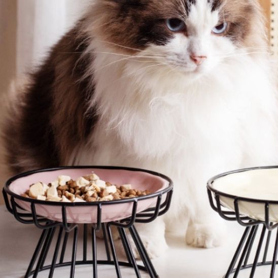 gamelle chat surélevée bonne posture pour chat âgé