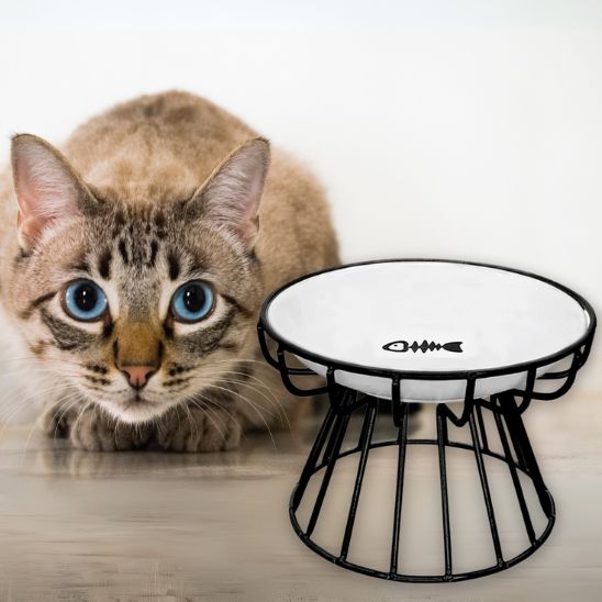 gamelle chat surélevée support métal noir et bol céramique poisson