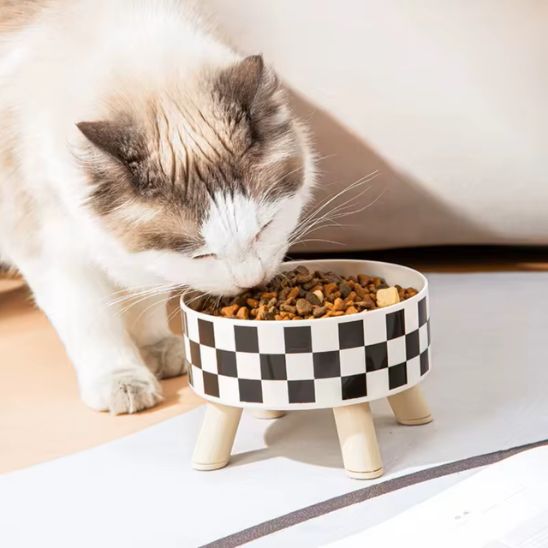 gamelle chat surélevée base antidérapante