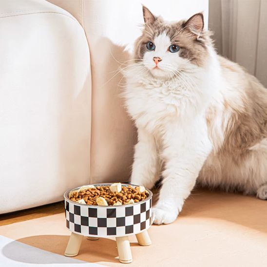 gamelle chat surélevée carreaux bol inox amovible