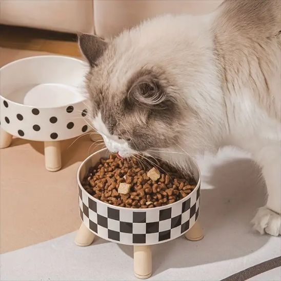 gamelle chat surélevée motifs carreaux petits pois plastique inox